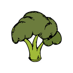 Hand Drawn sketch of broccoli icon