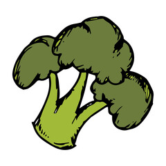 Hand Drawn sketch of broccoli icon