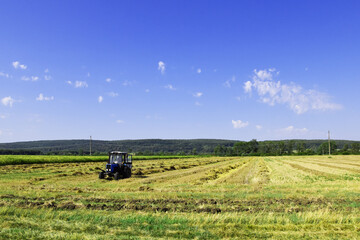 The tractor turns the hay in the field. The mown hay lies on the field and is dried.