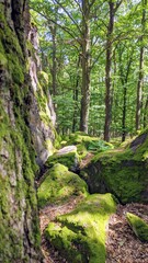 Fototapete bei efototapeten.de bestellen   