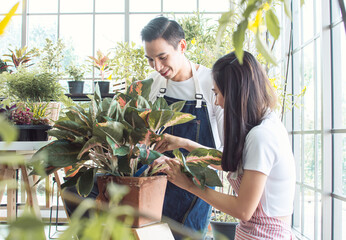 Obraz premium Young couple gardening plants together at home