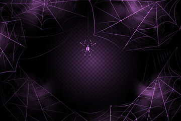 A black spider hangs on a web. Scary spiderweb of halloween symbol. Realistic  silhouette.Vector illustration.