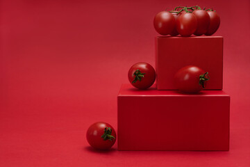 Red tomatoes on a box on a bright red background. Monochrome trendy view Copyspace