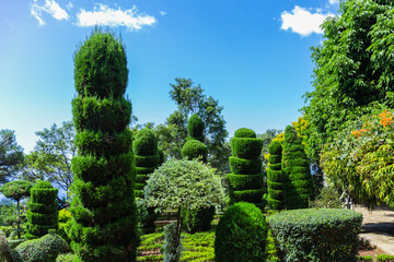 Overview of "Jardim Botanico", botanical garden, in Funchal, Madeira island, Portugal
