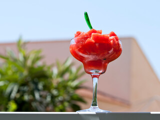 Red fruit dessert on garden table
