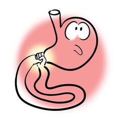 The intestines delay gastric emptying