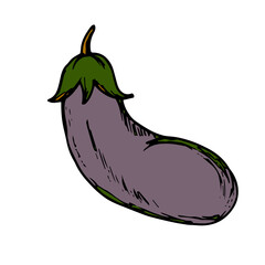 Eggplant hand drawn icon