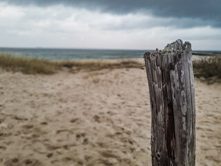 The fallen beach fence