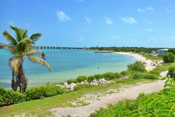 BAHIA HONDA FL