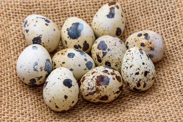 Fototapeta premium Quail eggs on top of a hemp fabric