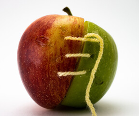 hybrid apple green and red sown together