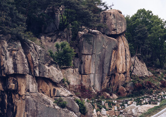 beautiful rocky cliff covered in trees