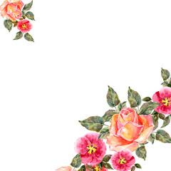 Watercolor bouquet roses on white background. Floral illustration corner for design.
