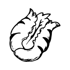 Lettuce Hand Drawn Icon