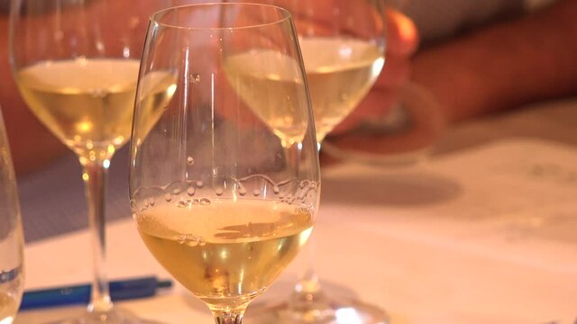 Wine tasting glasses, white wine, professional taster