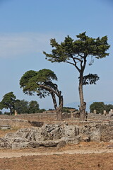Parco archeologico di Paestum