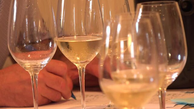 Wine tasting glasses, white wine, professional taster