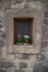 Fototapeta na wymiar old window with colorful flower pots 