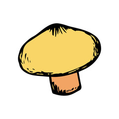 Mushroom hand drawn sketch icon