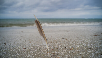 sand made up of small colored stones on the beach of Is Arutas in Sardinia, Italy. Is Arutas is...