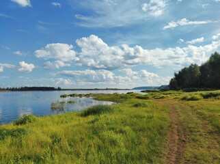 coastal landscape with green grass and trees against a blue sky with clouds
