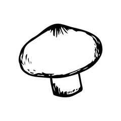 Mushroom hand drawn sketch icon