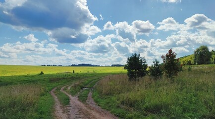 Naklejka premium panoramic landscape in a green field with a country road against a blue cloudy sky on a sunny day