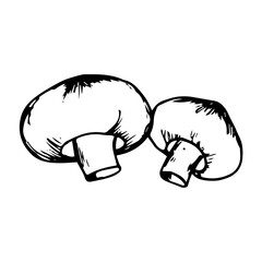 Mushroom hand drawn sketch icon