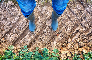 Farmer with rubber boots stands in a field with tractor tracks and plants.