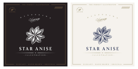 Star Anise logo vintage engraving hand drawn illustration