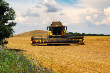 Modern combine harvester in field on sunny day. Agricultural machinery
