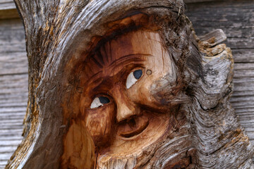 Closeup shot of a dwarf face  carved on a tree