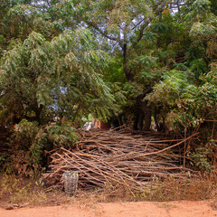Panier en osier servant à ramasser des feuilles dans la brousse du Togo