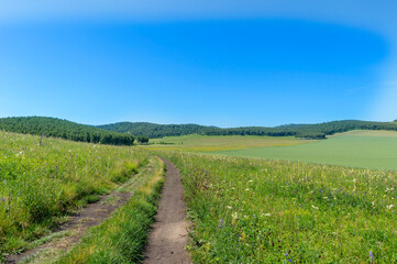 Beautiful green spring rural landscape with green field. Rural landscape. Spring landscape. Agricultural field in countryside. Beautiful Republic of Khakassia, Russia