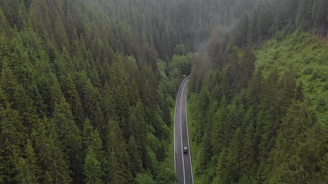 Aerial view car drive going through the forest. Ecosystem and healthy environment concept and background, Oasa, Transylvania, Romania