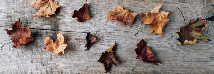 Autumn composition of dry leaves on an old Board
