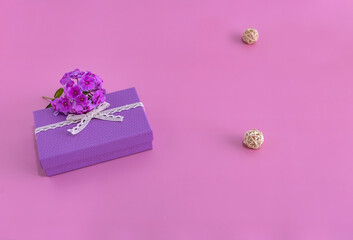 purple gift box and a sprig of pink Phlox on a pink background