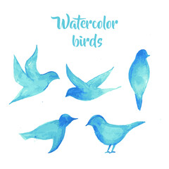 birds in simple watercolor