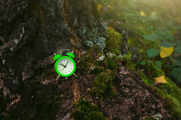 Hour clock alarm in forest. Make time for nature, environment concept.