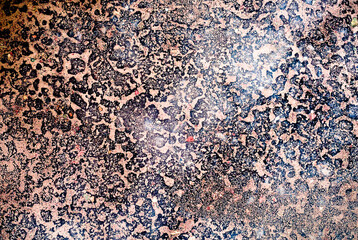 Abstract background. Asphalt concrete pavement through a layer of water. A pattern that resembles a leopard print. Texture.