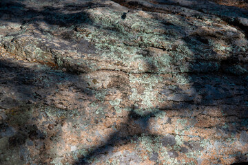 Pattern texture of a wild stone covered with moss and with shadows of trees