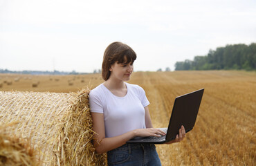 Naklejka na ściany i meble A girl working on a computer in a farmer's field leaning against the straw.