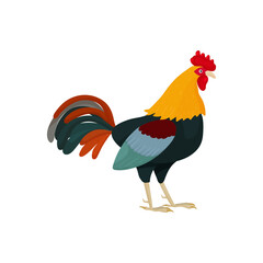 Vector illustration of a rooster in cartoon style with green feathers. Bright rooster as a symbol or mascot for children's books, clothing design and postcards with letters.