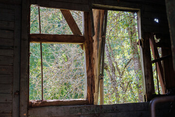 View of a nature from the broken wooden window