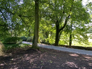 Country lane, leading from Rylstone church, into the village of, Rylston, Skipton, UK