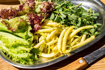 Green beans, lettuce and purslane on a metal tray