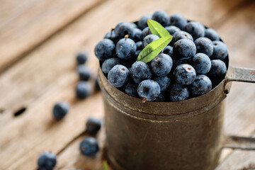 Blueberries inside an old metal cup