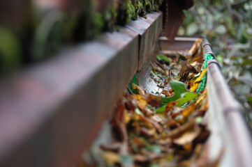 Plastic guard in gutter trough on a house roof