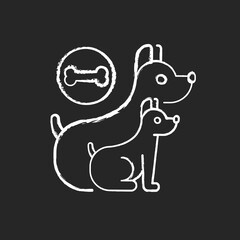 Dog day camp chalk white icon on black background. Professional pet sitting center. Domestic animal nursery. Dog feeding and playing service. Cute puppies isolated vector chalkboard illustration