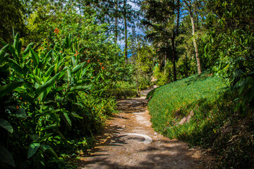 Naklejka premium Guapulo Park Quito Ecuador